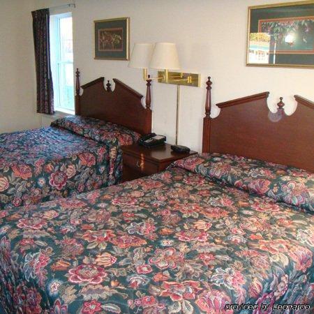 Sea Girt Lodge Rum bild